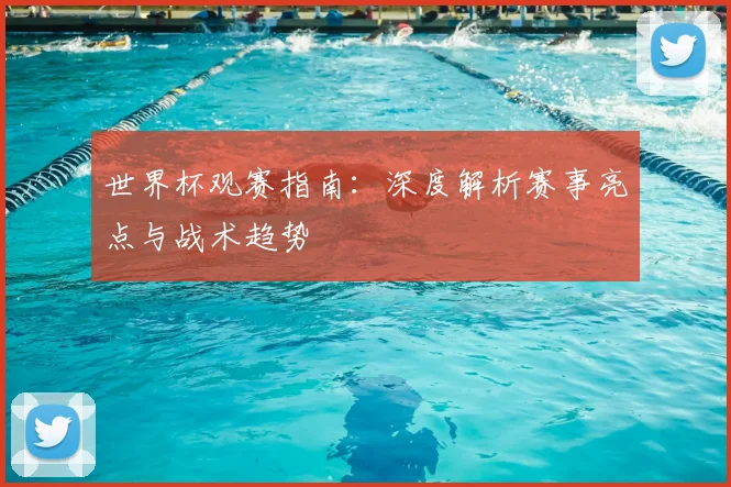 世界杯观赛指南:深度解析赛事亮点与战术趋势