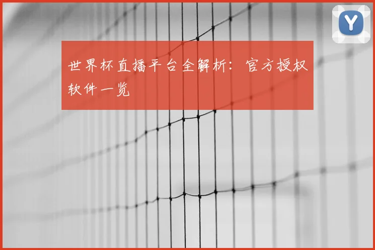 世界杯直播平台全解析:官方授权软件一览