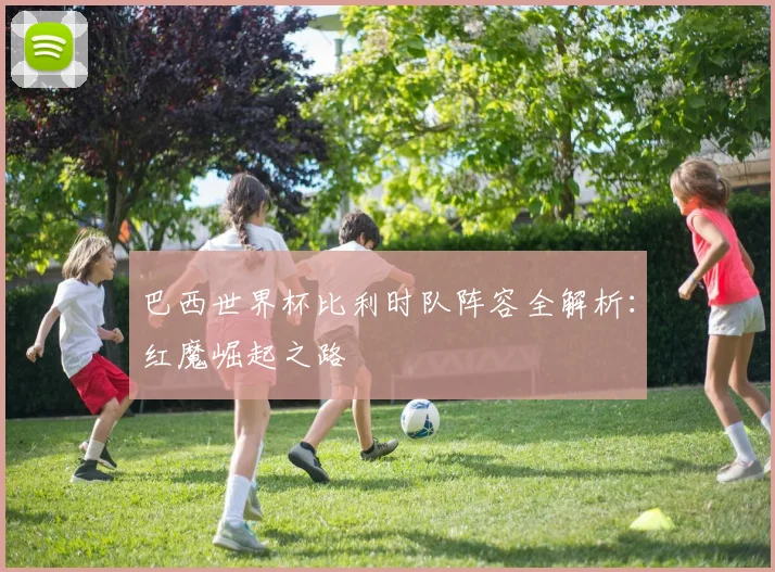 巴西世界杯比利时队阵容全解析：红魔崛起之路