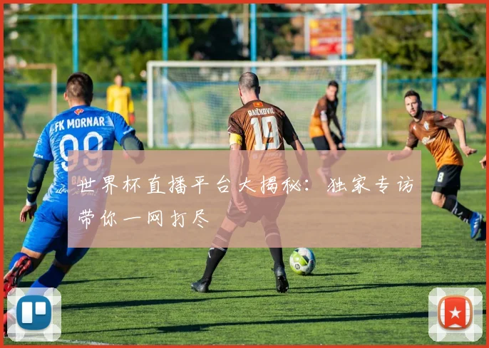 世界杯直播平台大揭秘：独家专访带你一网打尽