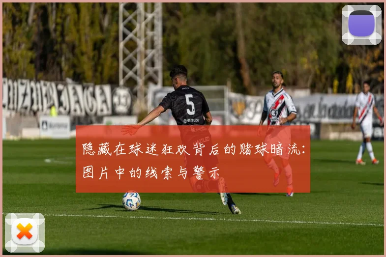 隐藏在球迷狂欢背后的赌球暗流：图片中的线索与警示
