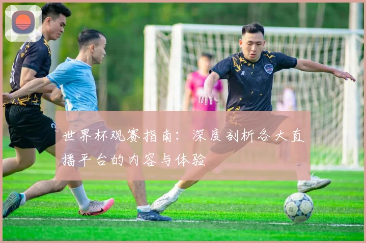 世界杯观赛指南:深度剖析各大直播平台的内容与体验