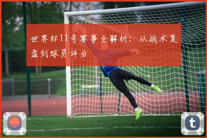 世界杯11号赛事全解析：从战术复盘到球员评分
