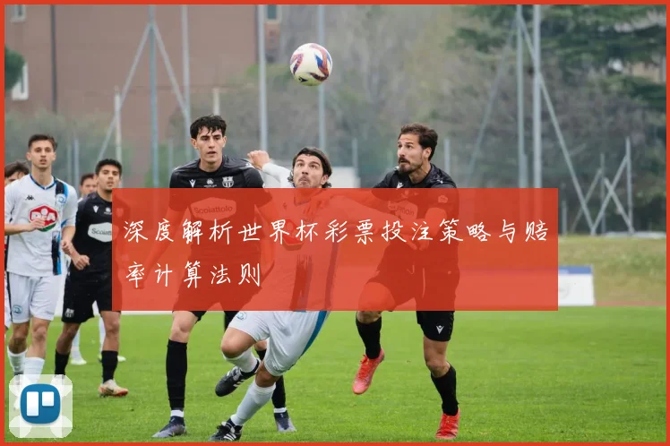 深度解析世界杯彩票投注策略与赔率计算法则