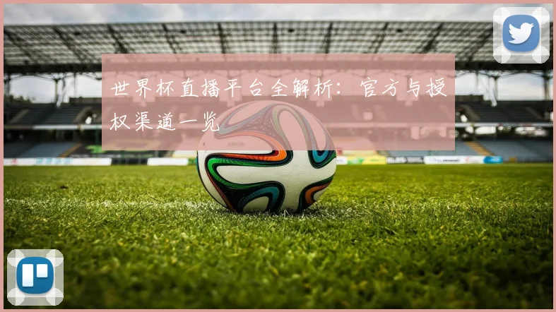 世界杯直播平台全解析:官方与授权渠道一览