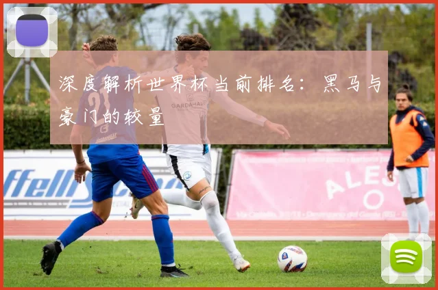 深度解析世界杯当前排名：黑马与豪门的较量