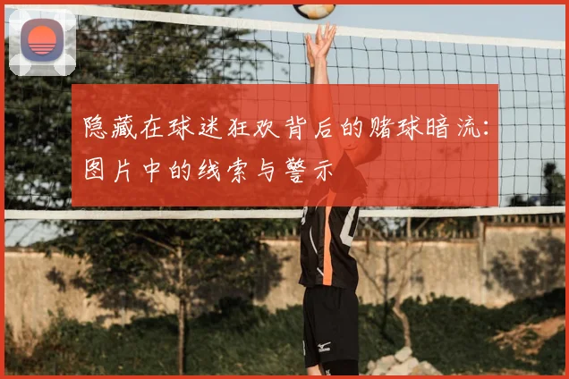 隐藏在球迷狂欢背后的赌球暗流：图片中的线索与警示