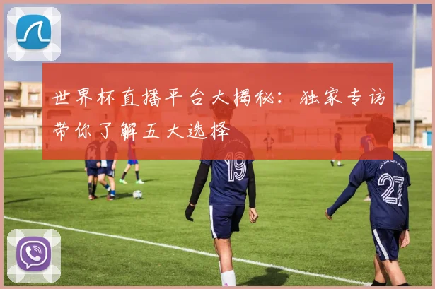 世界杯直播平台大揭秘:独家专访带你了解五大选择