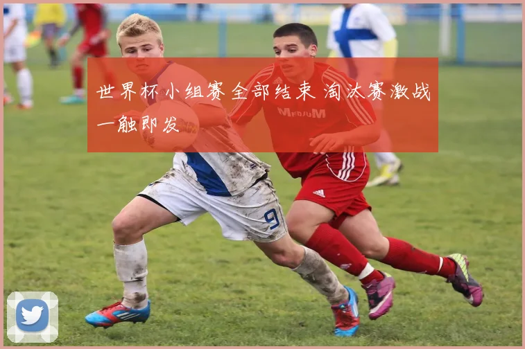 世界杯小组赛全部结束 淘汰赛激战一触即发