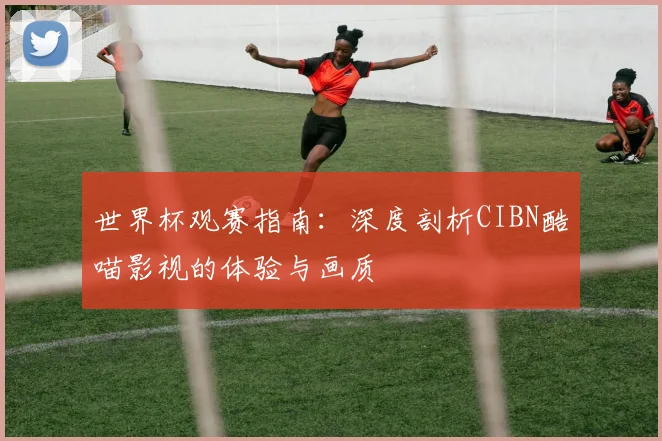 世界杯观赛指南:深度剖析CIBN酷喵影视的体验与画质