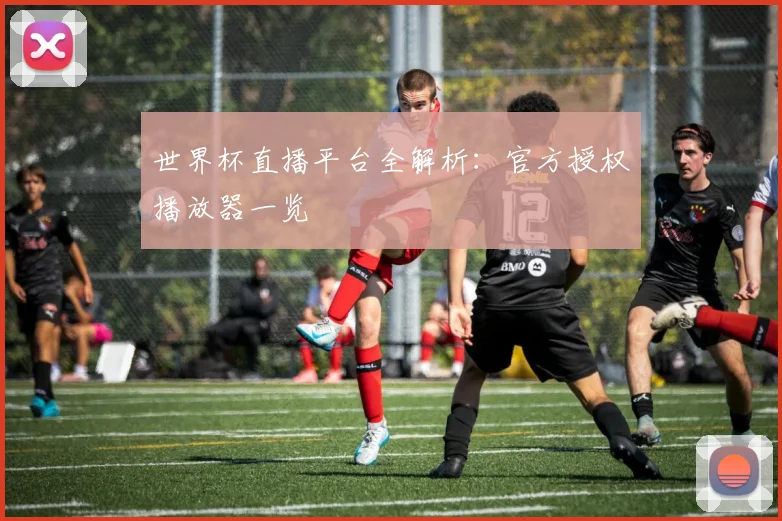 世界杯直播平台全解析:官方授权播放器一览